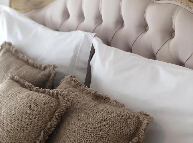 Apartment Rafa Costa Nova